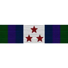 Washington D.C. National Guard Homeland Defense Ribbon